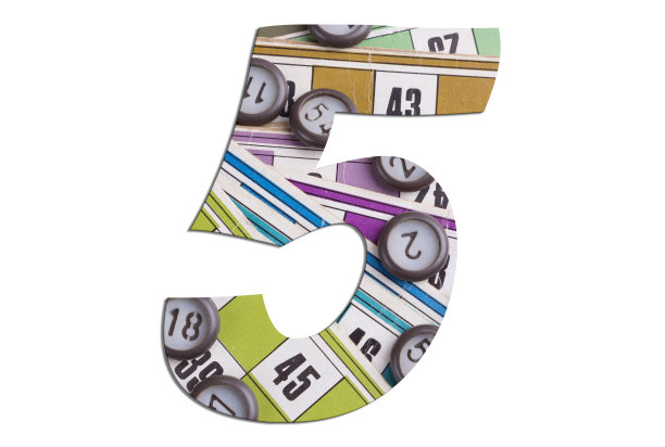 5号——白色背景上的彩票卡片图片下载