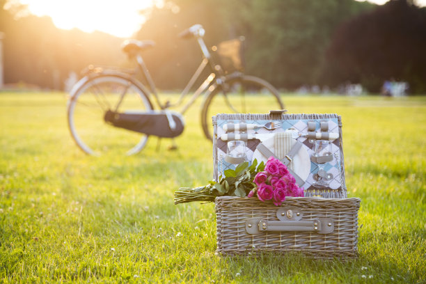 野餐篮，花束，公园草地上的自行车图片下载