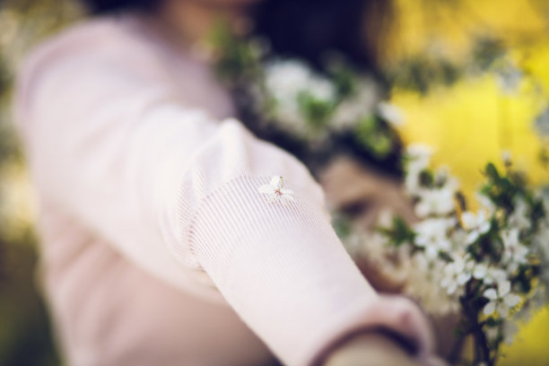 春光明媚图片下载