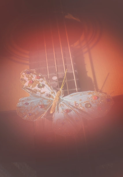 绿松石蝴蝶在活珊瑚阴影的原声吉他弦图片下载