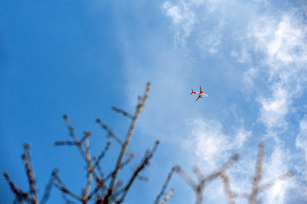 直飞航班图片下载