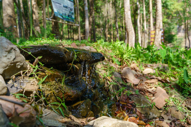 国家公园里的小瀑布图片下载