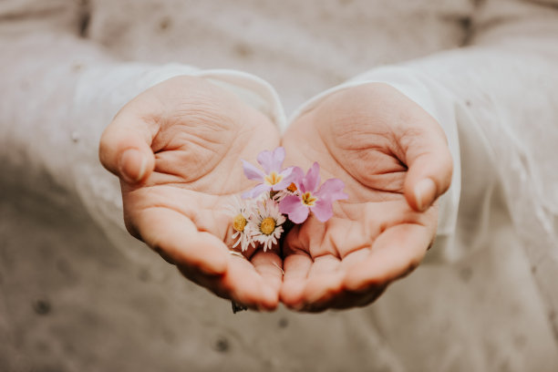 手里拿着花图片下载