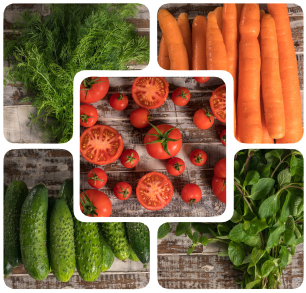 拼贴变异蔬菜。图片下载