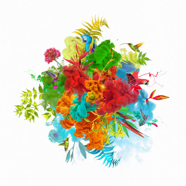 用植物、花和鸟来画爆炸图片下载