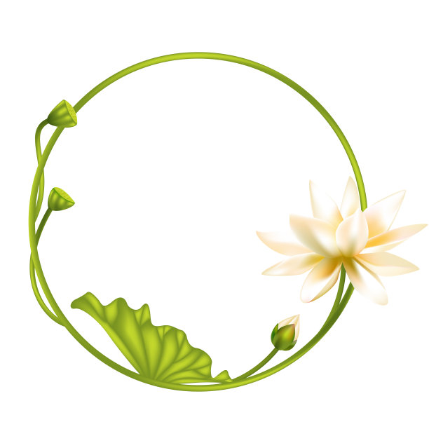 花。花的背景。莲花。热带花卉。味蕾。孤立。花瓣。白色叶子。佛教。亚洲。的象征。圆的框架。图片下载