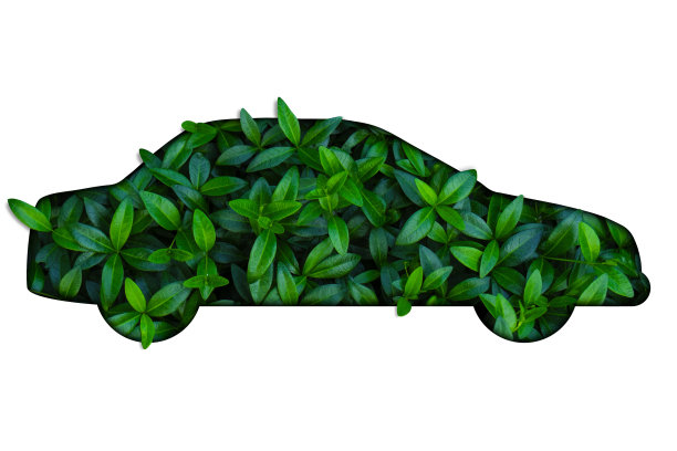 在白色的背景上，从绿叶中露出汽车的轮廓。环保汽车的概念图片下载