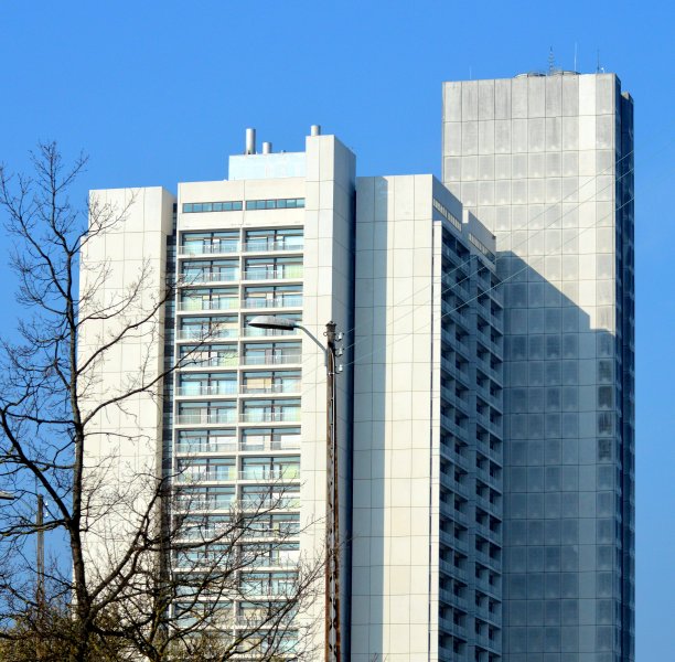 摩天大楼建于1976图片下载