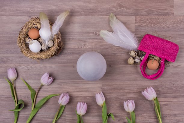 复活节装饰设计用鸡蛋羽毛包郁金香图片下载