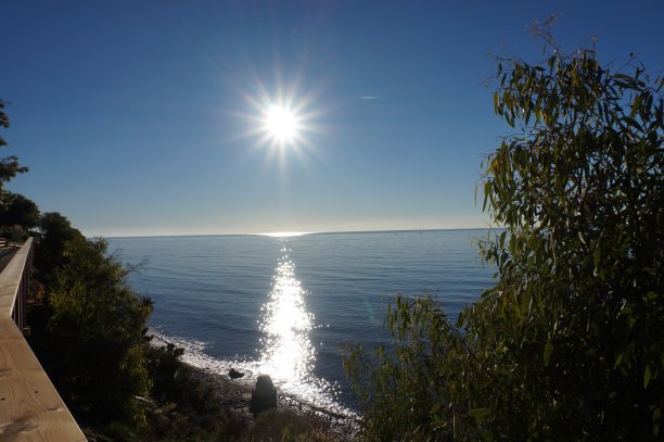 沙滩上的阳光图片下载