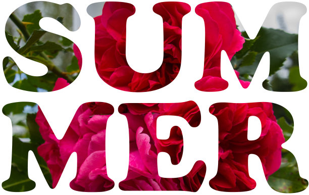 夏天自然横幅图片下载