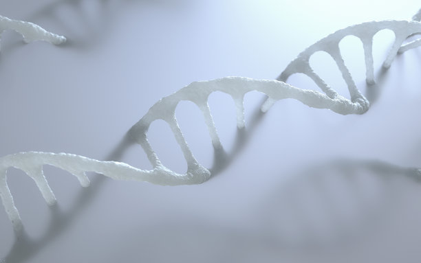 DNA螺旋结构素材图片