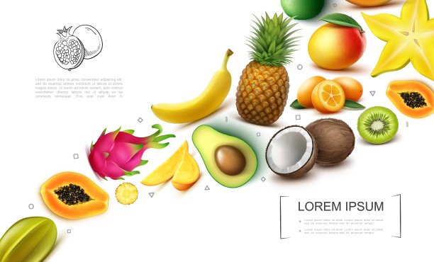 逼真的异国水果收藏图片下载