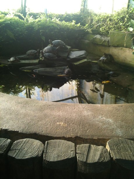 景观夏秋自然图片下载