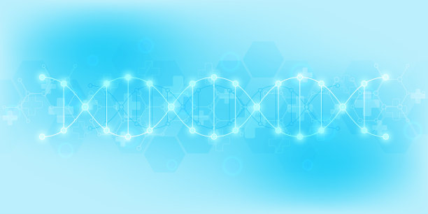 DNA链背景和基因工程或实验室研究。医学技术与科学理念。素材图片