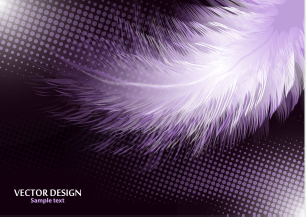 彩色逼真的鸟类羽毛孤立在黑色背景，半色调效果。矢量插图为您的设计。图片下载