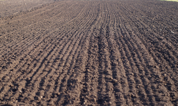 春天耕过的土地准备播种图片下载