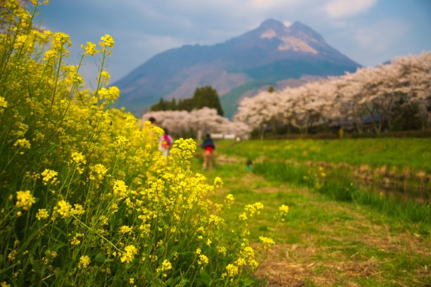 风景的Yufuin图片下载
