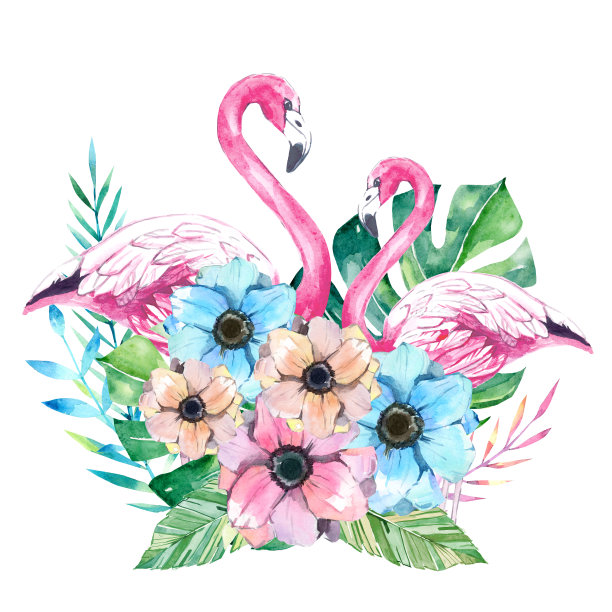 水彩火烈鸟。夏季热带插图。图片下载