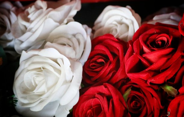 玫瑰代表情人节，也就是爱的日子。用于书写文字和商标图片下载