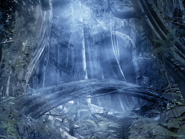 梦幻蓝色森林图片下载