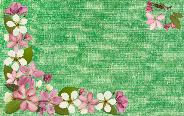 花卉的邀请卡。插图。图片下载