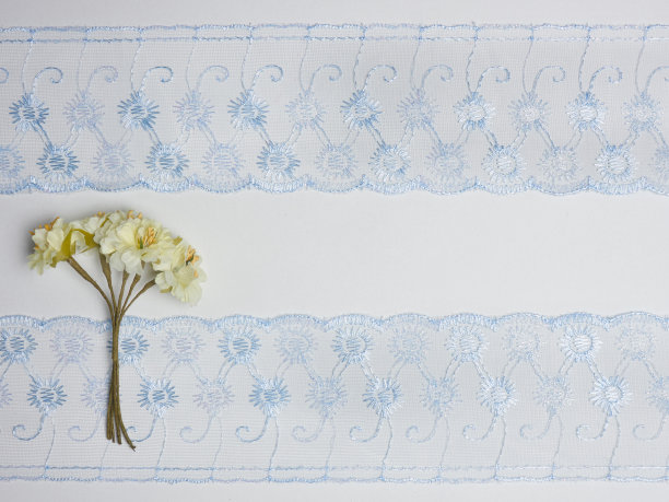 蓝色的花边在白色的背景和花图片下载