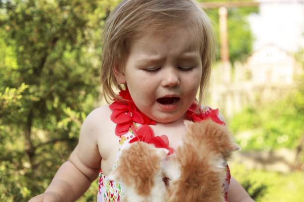 情绪激动，小女孩哭了，小女孩抱着一只小红猫图片下载