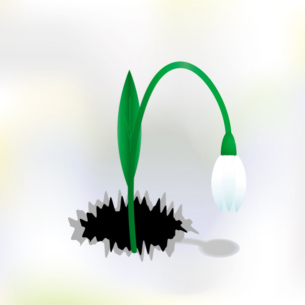 雪花莲花图片下载