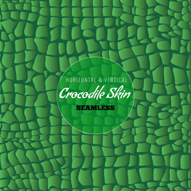 爬行动物鳄鱼皮肤无缝模式。鳄鱼皮的质地。矢量插图。图片下载