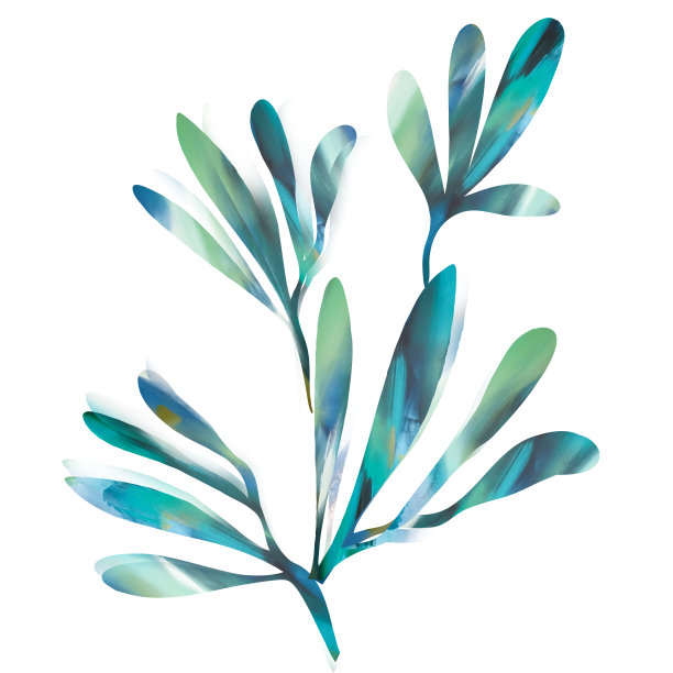 丙烯酸树叶插图。图片下载