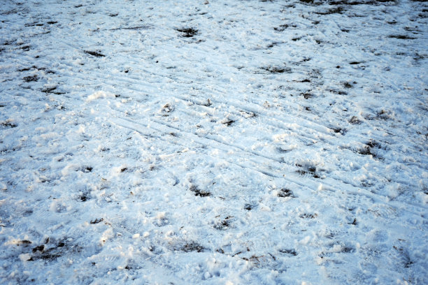 地上覆盖着雪地上的脚印图片下载