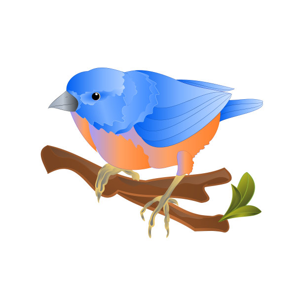 鸟蓝鸟画眉小鸣鸟在树枝上的白色背景春季背景复古矢量插图可编辑图片下载