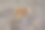 巴森基的狗在户外拉屎图片下载