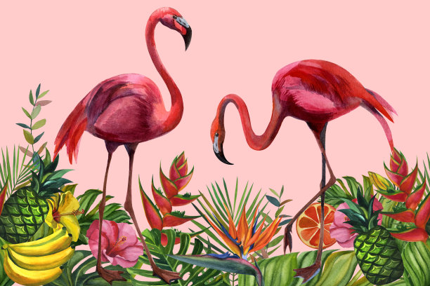 水彩热带野生动物，火烈鸟，图案无缝。手绘丛林自然，花卉插画。印刷纺织品，布料，墙纸，剪贴簿图片下载