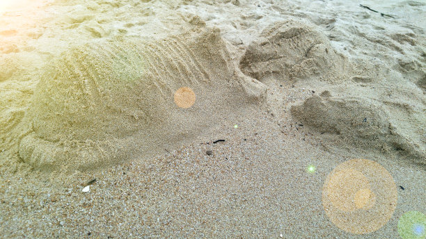 用沙滩上的沙子做成的兔子和两只猫的雕像。图片下载