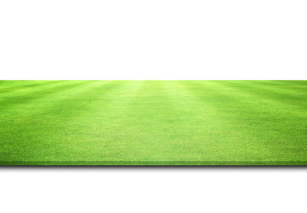 绿草的纹理图片下载