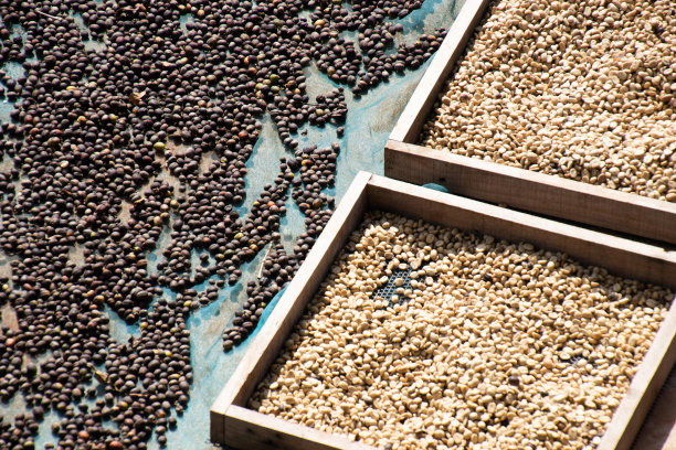 咖啡豆的背景。咖啡色烘培咖啡豆模式在咖啡店准备制作卡布奇诺或拿铁热饮。图片下载