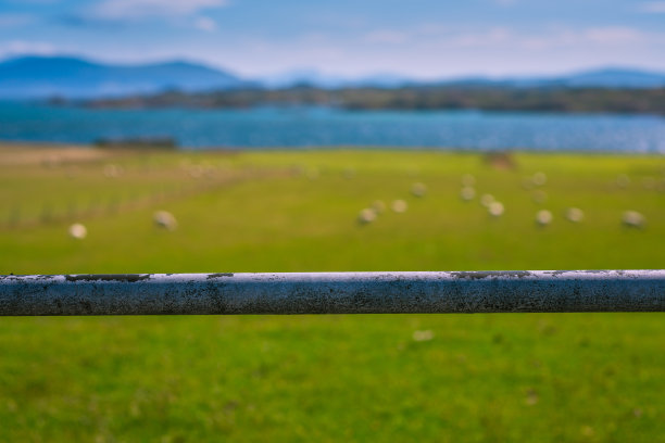 苏格兰海岸的一个农民的田地背景图片。jpg图片下载