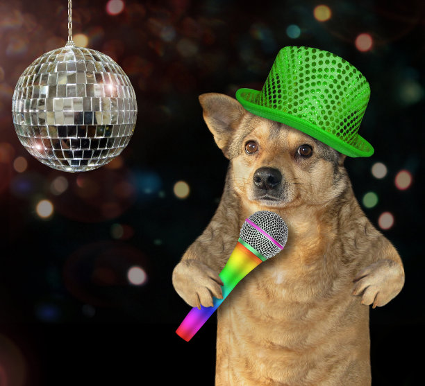 狗在舞台上唱歌图片下载