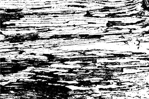 摘要详细的背景。向量木材纹理。老树的树皮。图片下载