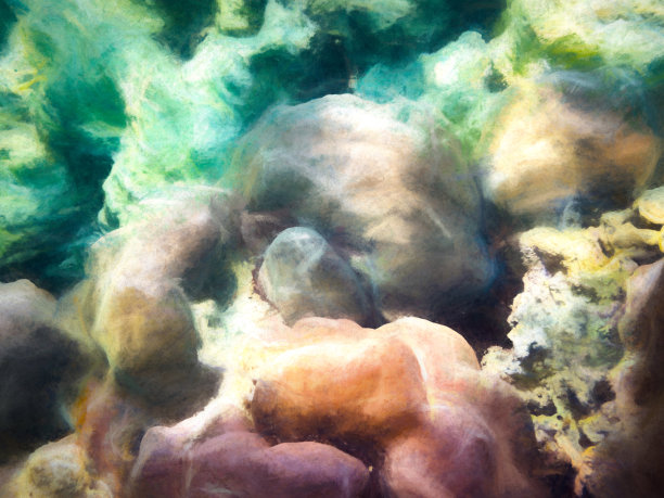 珊瑚礁图片下载