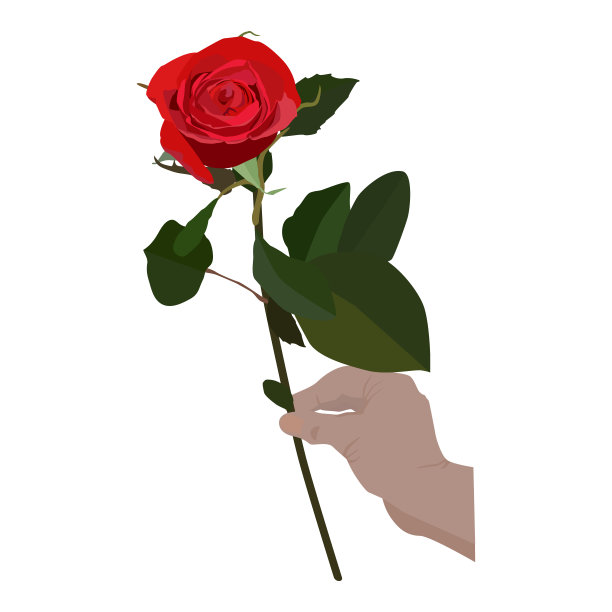 盛开的红玫瑰矢量平面孤立插图图片下载