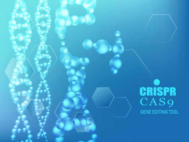 DNA基因编辑工具背景。向量。素材图片