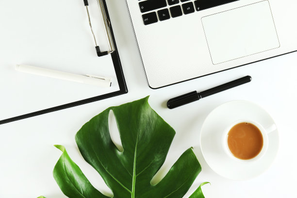 女性博客作者的工作空间概念。女性桌面构图上的大绿色怪物棕榈叶。背景，近景，复制空间，平铺，俯视图。图片下载