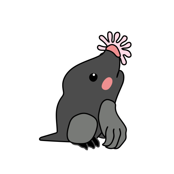 矢量scandi卡通动物剪辑艺术图片下载