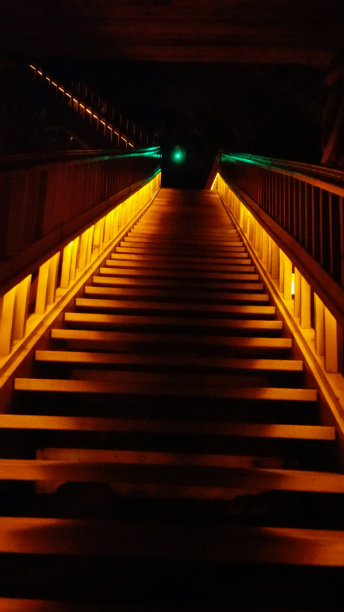 光梯子图片下载