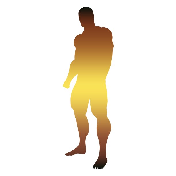 健美运动员剪影图像图片下载