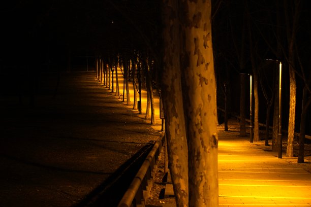 公园里的光路图片下载