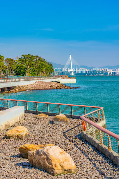 深圳湾跨海大桥附近的海滨地区图片下载